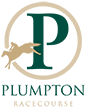 plumpton racecourse